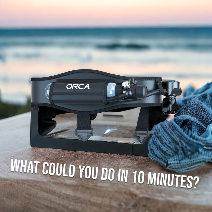 Orca Pro 300 what could you do with an Orca?